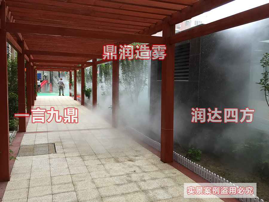 普林斯顿幼儿园1