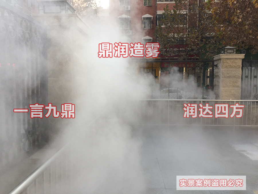 普林斯顿幼儿园2